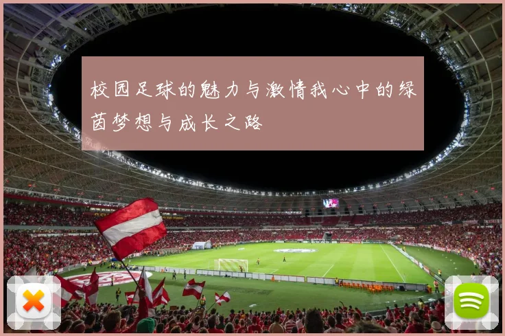 校园足球的魅力与激情我心中的绿茵梦想与成长之路