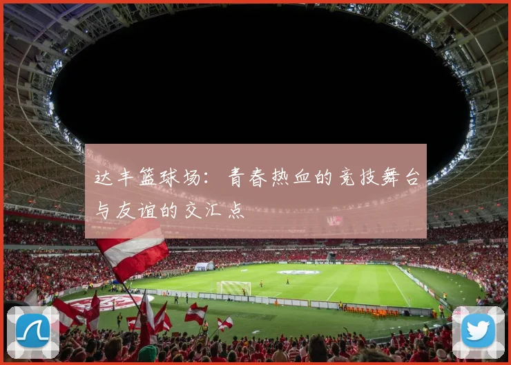 达丰篮球场：青春热血的竞技舞台与友谊的交汇点